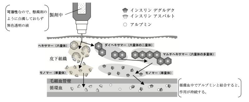解説画像